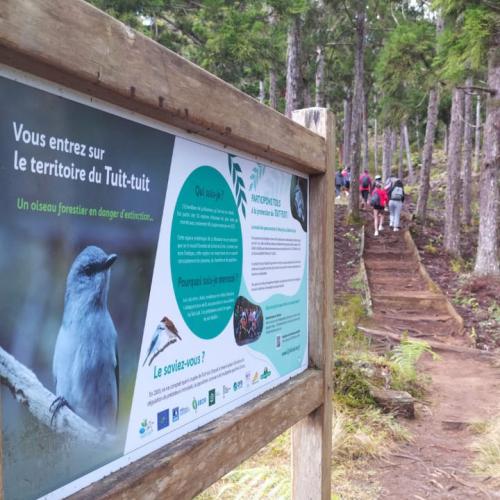 Chantiers juniors de lutte contre les espèces invasives 