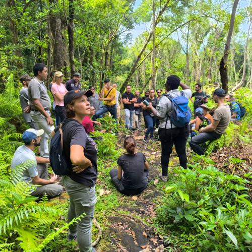 Rencontre entre agriculteurs de Saint-Philippe et Sainte-Rose autour des pratiques vertueuses  © Parc national de La Réunion