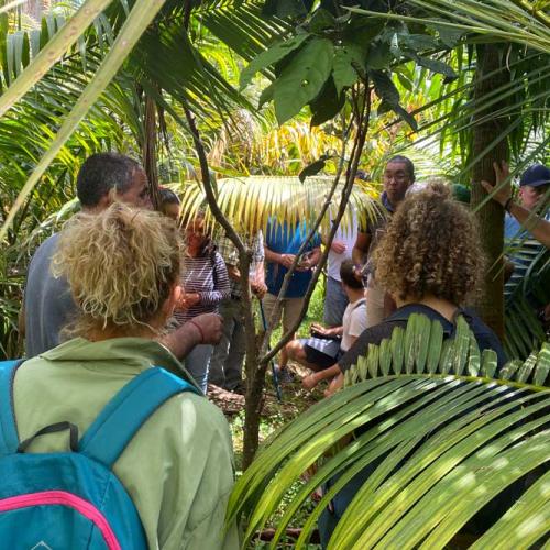 Rencontres autour de la production de cacao © A. Bera - Parc national de La Réunion