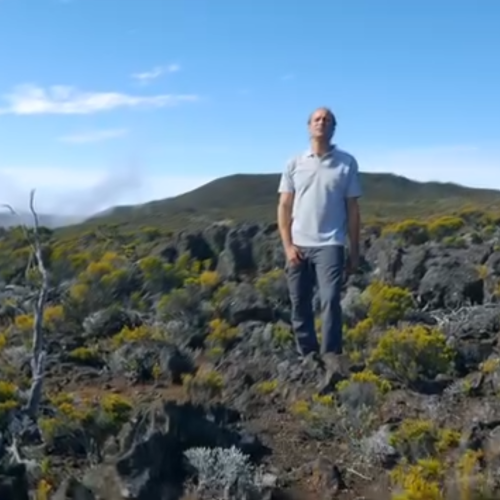 Reportage sur la faune invasive - Groupe Espèces invasives Réunion