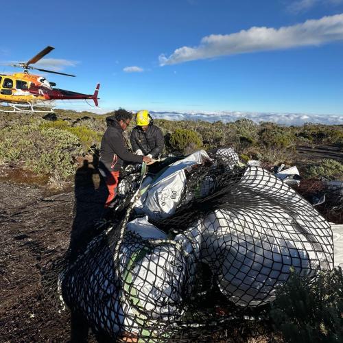 Ramassage des déchets de grillage à Roche Ecrite