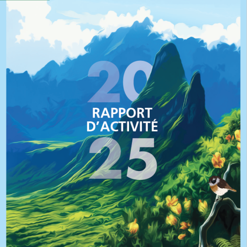 Couverture rapport d'activité