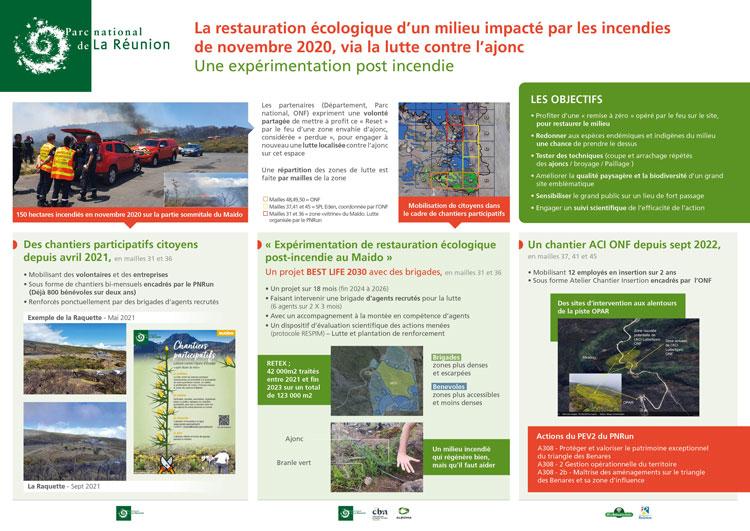 Projet BEST LIFE LIFE 2030 Maido - Animateurs Janik PAYET,Parc national de La Réunion et Dominique OUDIN, Conservatoire Botanique de Mascarin (CBNM)