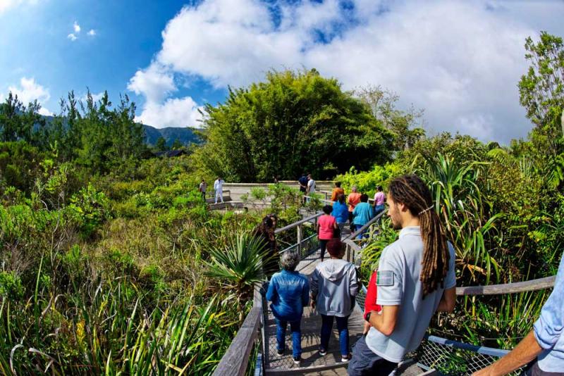  A la découverte des Jardins de la Maison du Parc national © René Carayol - Parc national de La Réunion