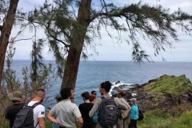 Sortie sur le terrain à Petite-Ile où des actions de conservations sont menées en faveur du Phelsuma inexpectata
