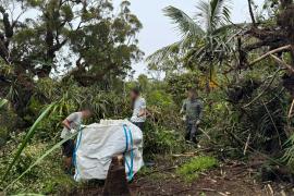 Mise en big bags de camp à Cambourg  