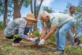 Plantation de pieds de bois personnalisés et traçables par GPS de précision © Martin Huré - Parc national de La Réunion