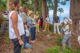 Session de plantation d'espèces endémiques et indigènes © Martin Huré - Parc national de La Réunion