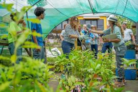 Parrainage de plants endémiques et indigènes 