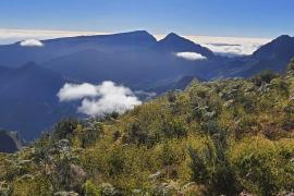 Maïdo, côté des Orangers © Janik-Payet - Parc national de La Réunion