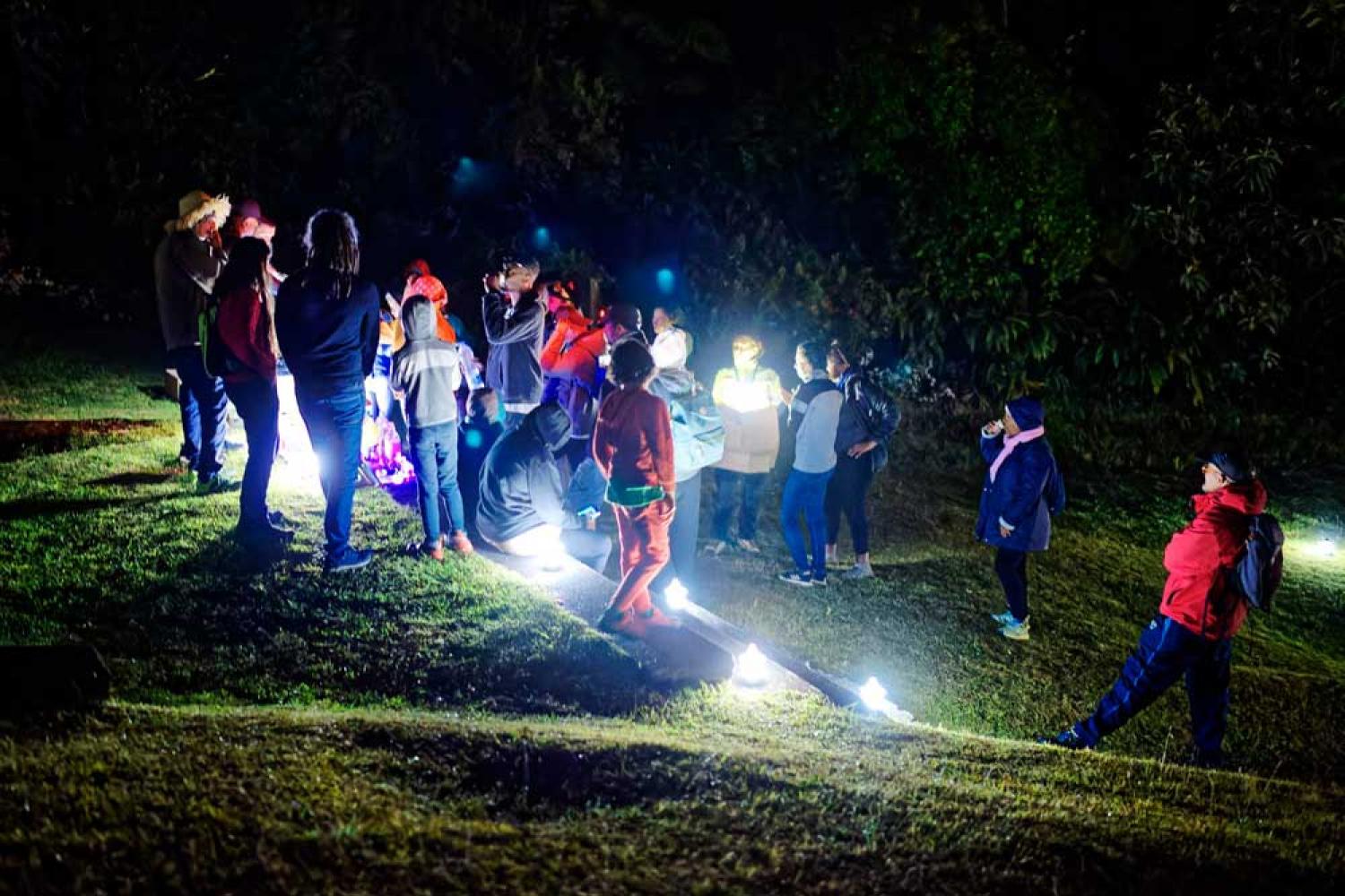  Balade nocturne à La Plaine-des-Palmistes lors d'une rencontre interterritoire