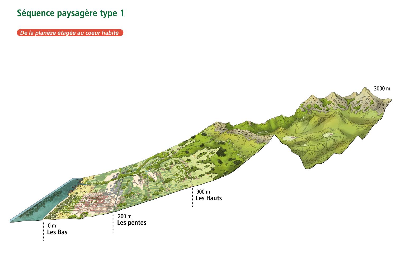 Schéma Plan Paysage