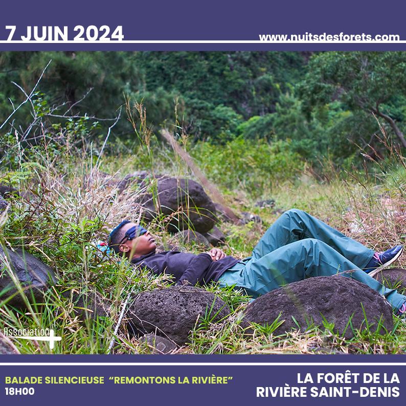 Nuit des Forêts - La Réunion 2024